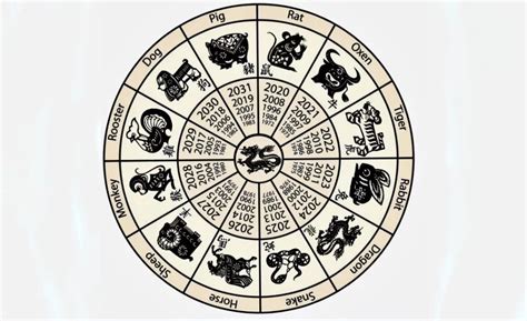 JALUR MAIN SHIO: Rumus, Tabel & Contoh Lengkap .